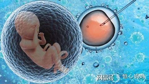 包生男孩的公司